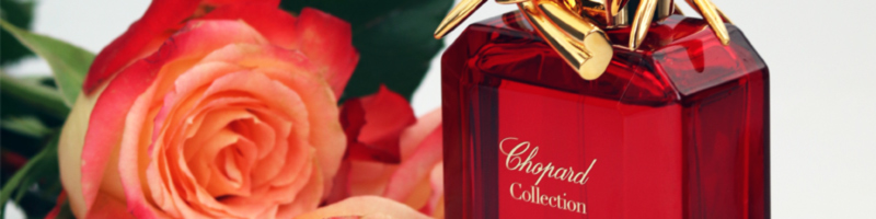 Rose Caroline Chopard perfume review Aromablog